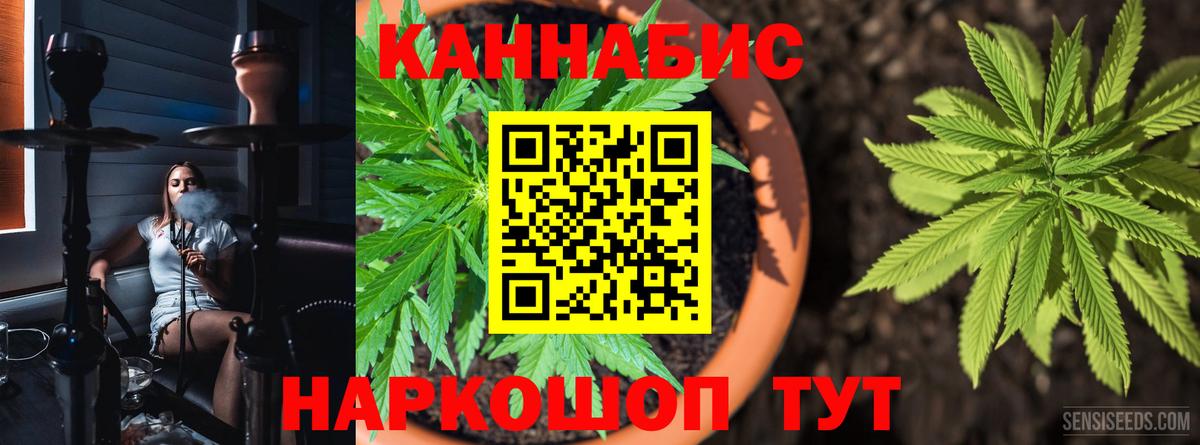 Бошки марихуана семена  Канабис OG Kush  Конопля ГИДРОПОН  Нижнекамск  Вход с VPN 